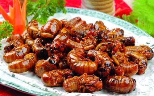 最新新康饭菜爆料图片大全,揭秘最新爆料图片大全,美味与视觉盛宴同在!” 第1张 最新新康饭菜爆料图片大全,揭秘最新爆料图片大全,美味与视觉盛宴同在!” 第1张